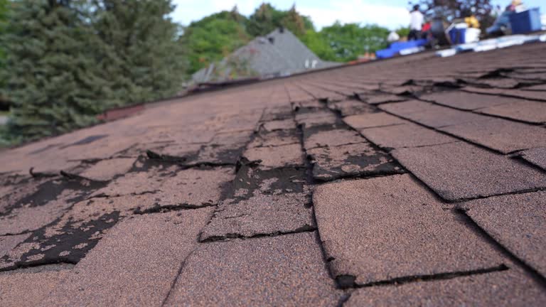 Best Hot Roofs  in Rankin, PA